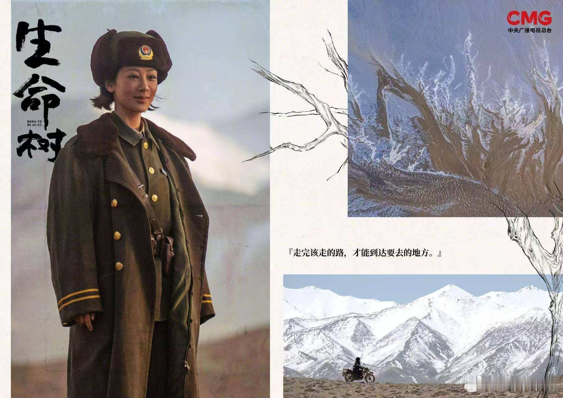 cctv电视剧发了生命树生命树物料审美生命树物料审美，绝，期待呀 ​​​