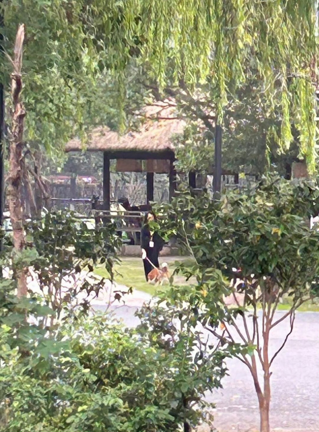 别人向往生活偶遇明星我偶遇小O 报告！在乌镇成功捕获“向往”顶流——小O本尊！别