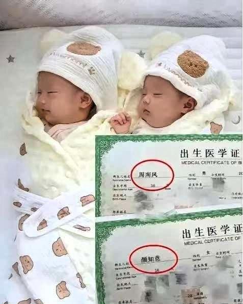 惊！这对龙凤胎的名字直接封神，网友：文化人起名果然杀疯了！

男孩叫周南风，女孩