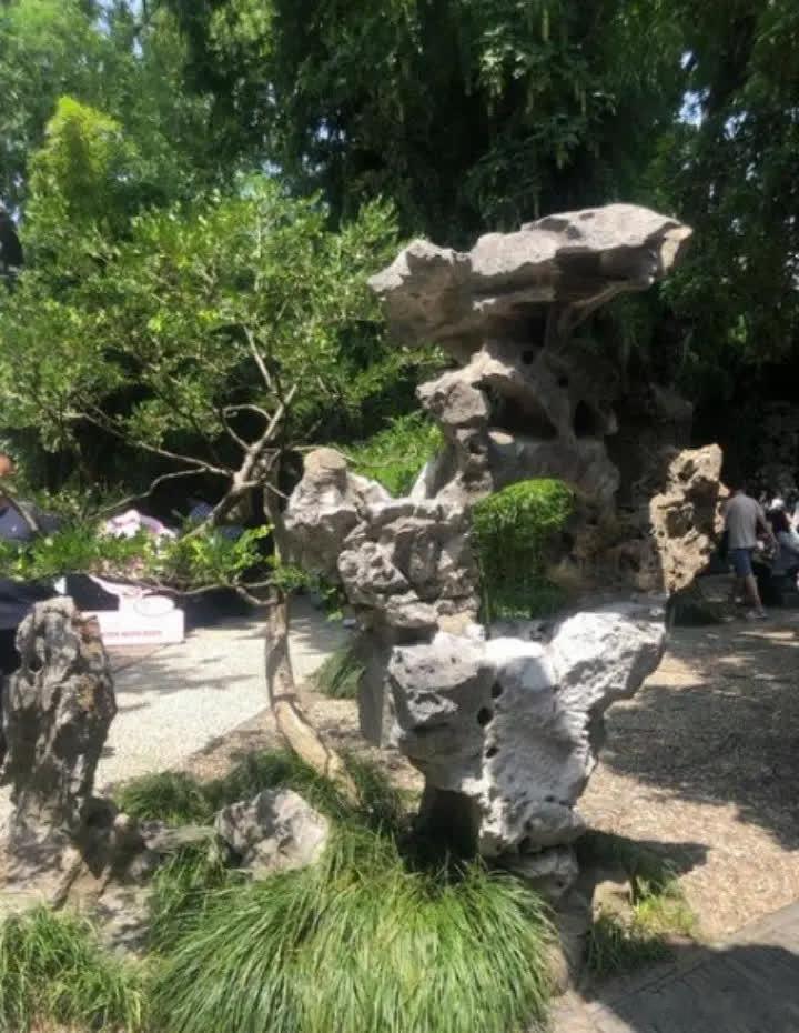2019年，赵本山的徒弟小鹏飞租了3艘豪华游艇，向王金龙的前妻丫蛋求婚，赵本山很