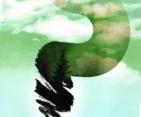 很多的所谓专家都说让孩子快乐教育，让孩子释放天性。但是有的家长就听从了专家的话快