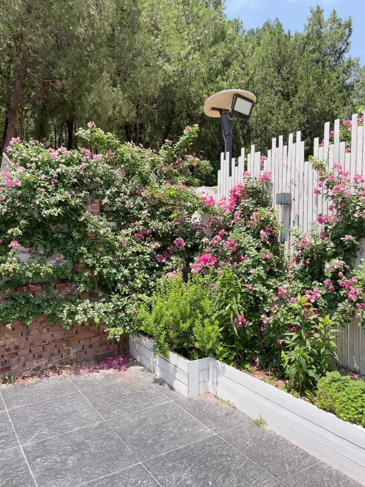 今日无碍 明日无忧 适意 潦草 都是一生.