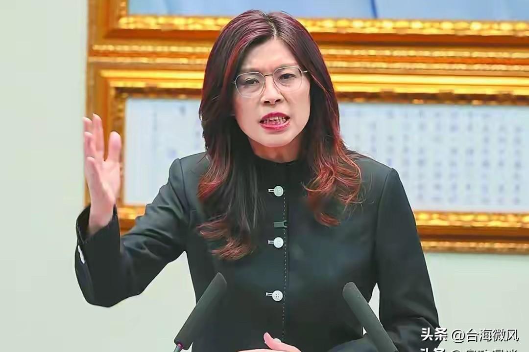 实话实说惹围攻，郑丽文硬扛绿营青鸟炮火？
郑丽文受访直言，台湾从来不是一个国家，