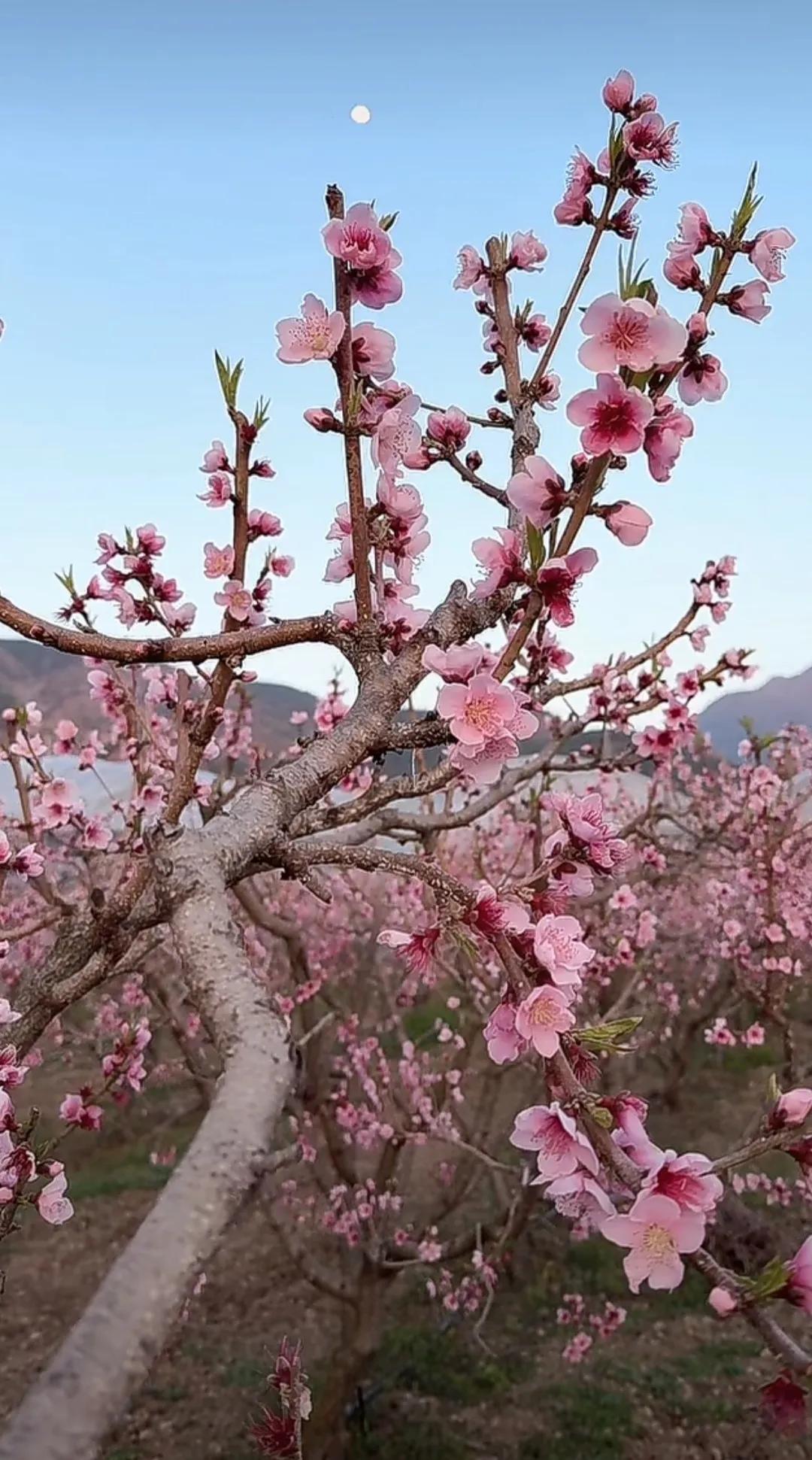 自驾旅行记录车窗框住的天空，云在跑，树在退，导航提示前方300米有服务区，而此刻