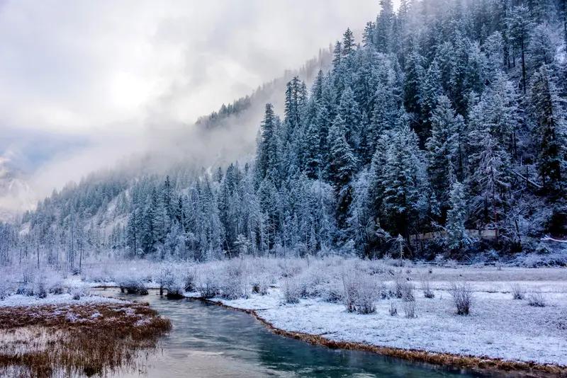 今年冬天的不同 今年冬天确实和往年不太一样。暖冬感特别明显，多数地区入冬晚、气温