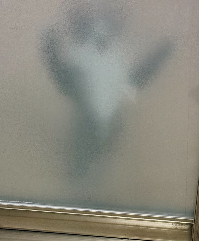 厨房里在熬鱼汤的时候总有神秘的影子出现daily奶牛猫 （投稿：） 