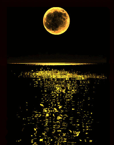 上联：金樽邀盛月。

（图片来自网络）