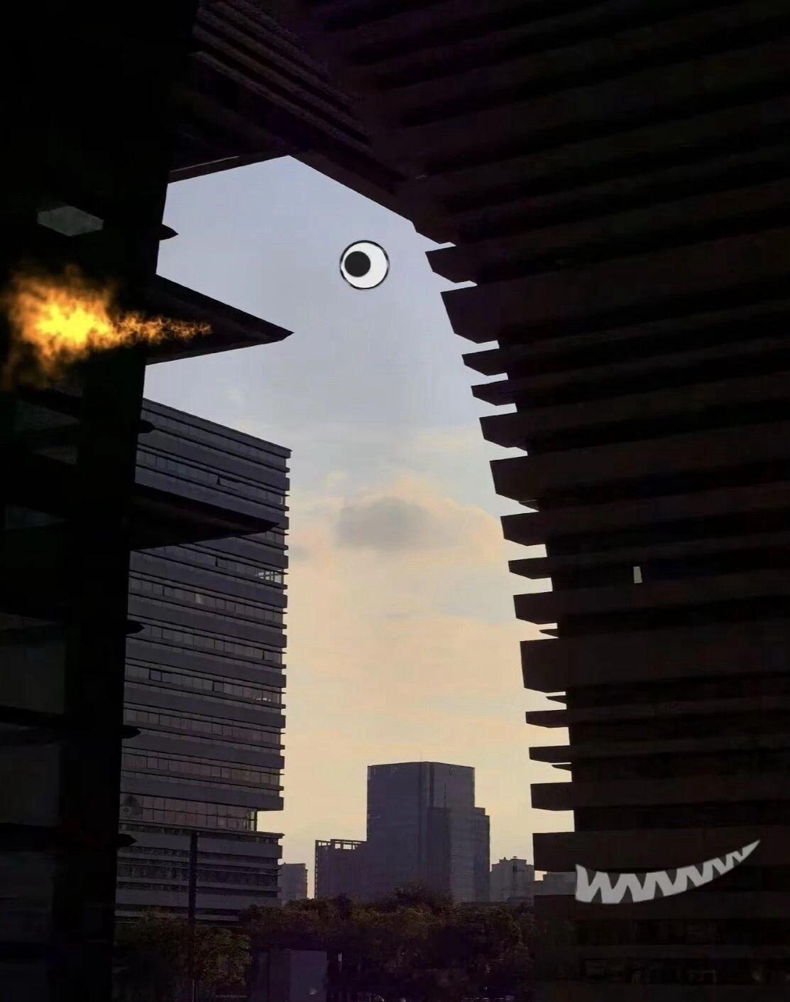 恐龙来了 ​​​