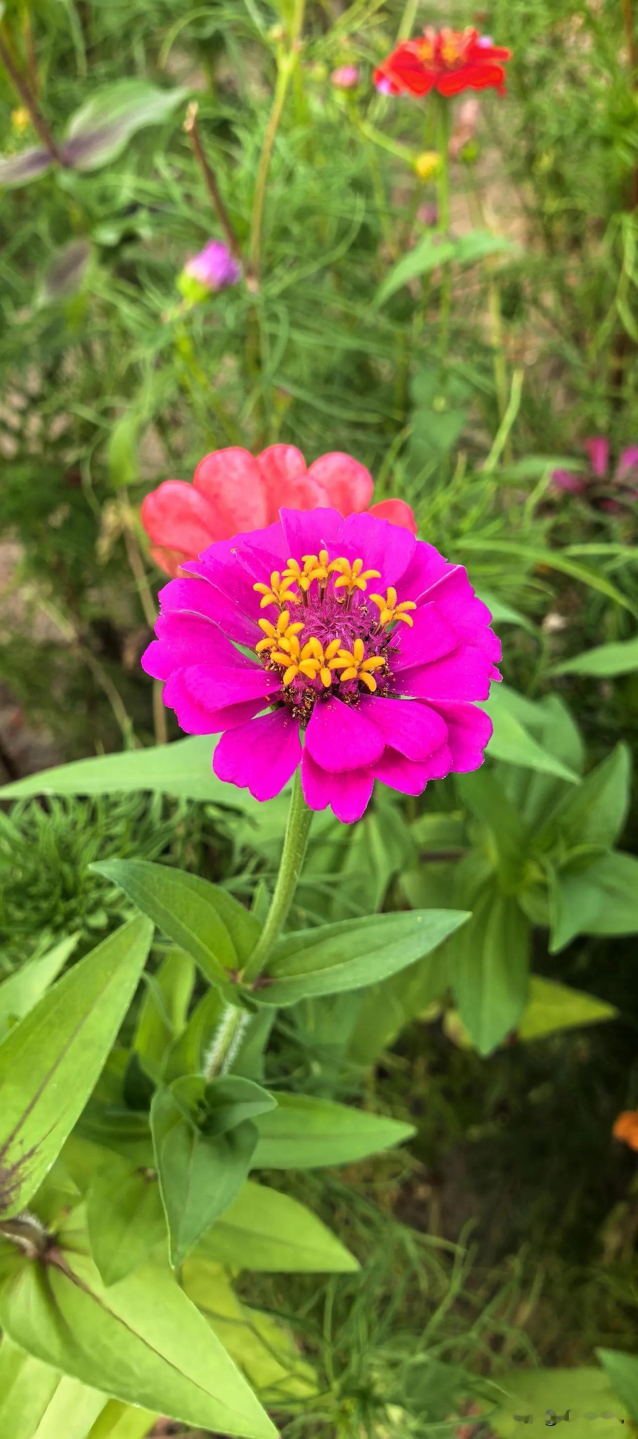 以花为友，交换一张相册里的花花草草。