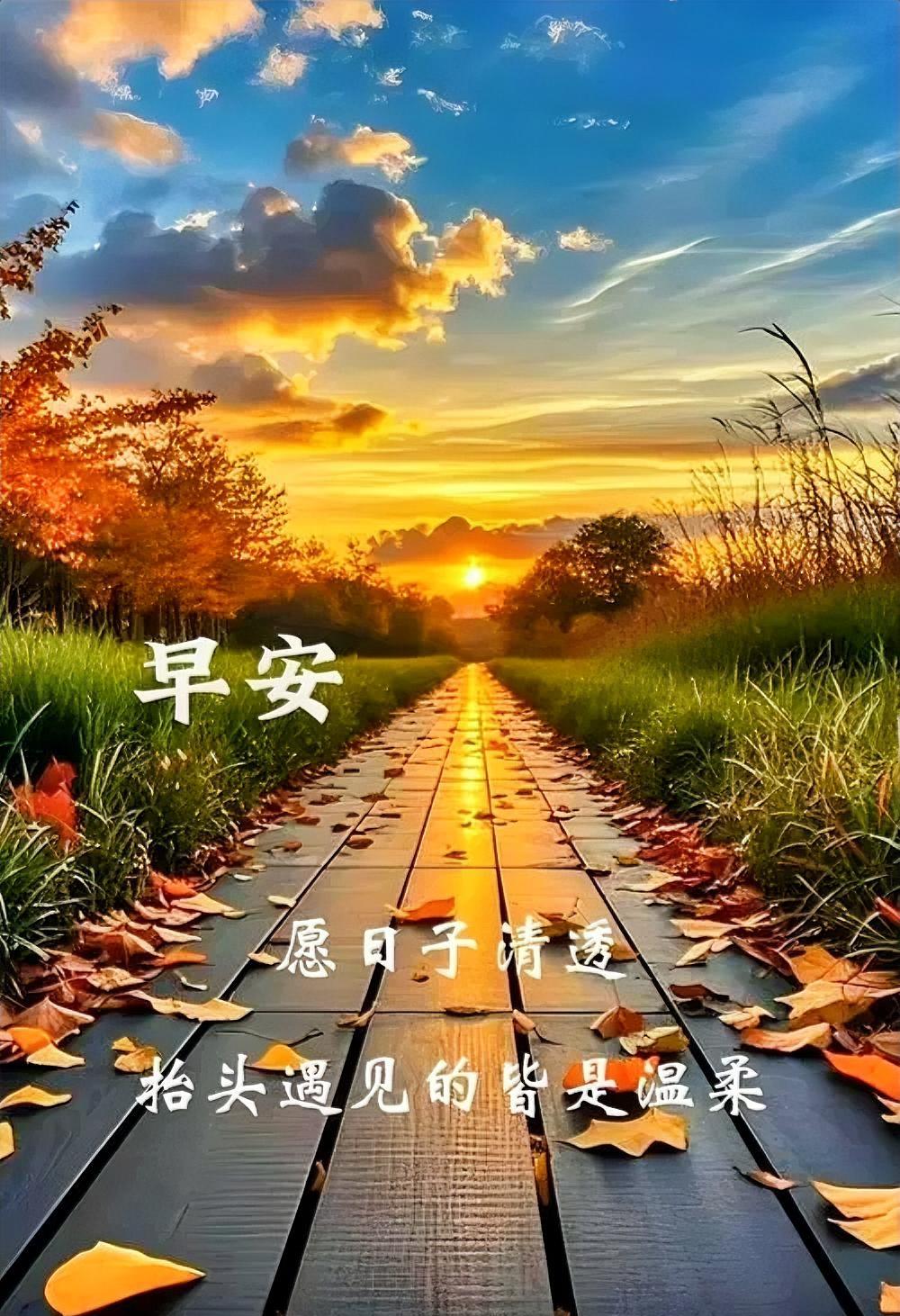 早安，愿你的日子清透如这晨光，抬头遇见的都是温柔风景。🌅🌿