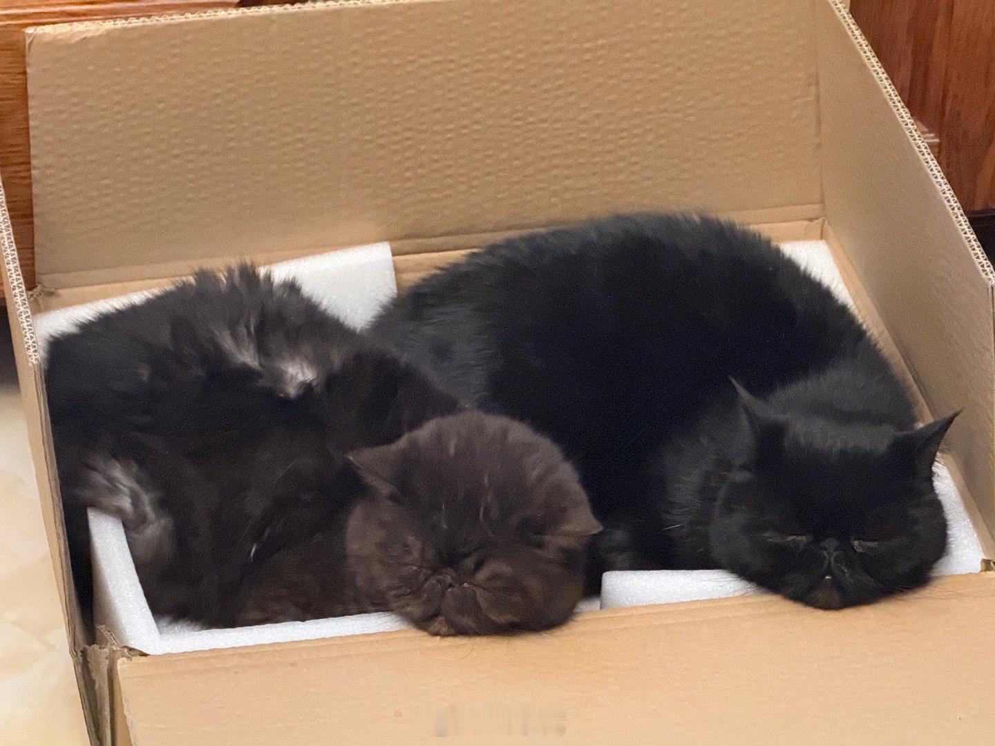 装书的箱子，这也沾沾学问气息。。。 