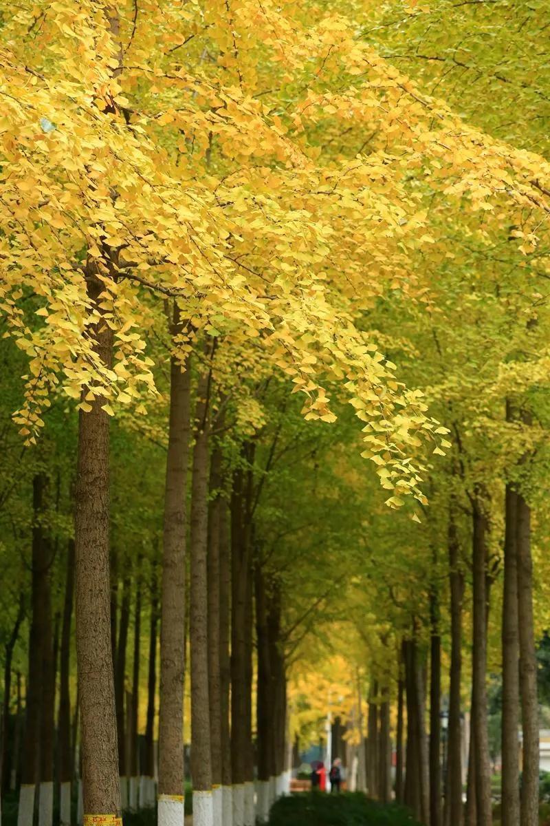 深夜突然懂了：成年人的友谊，不是天天见面，而是随时能见。

那些陪你熬过低谷期的