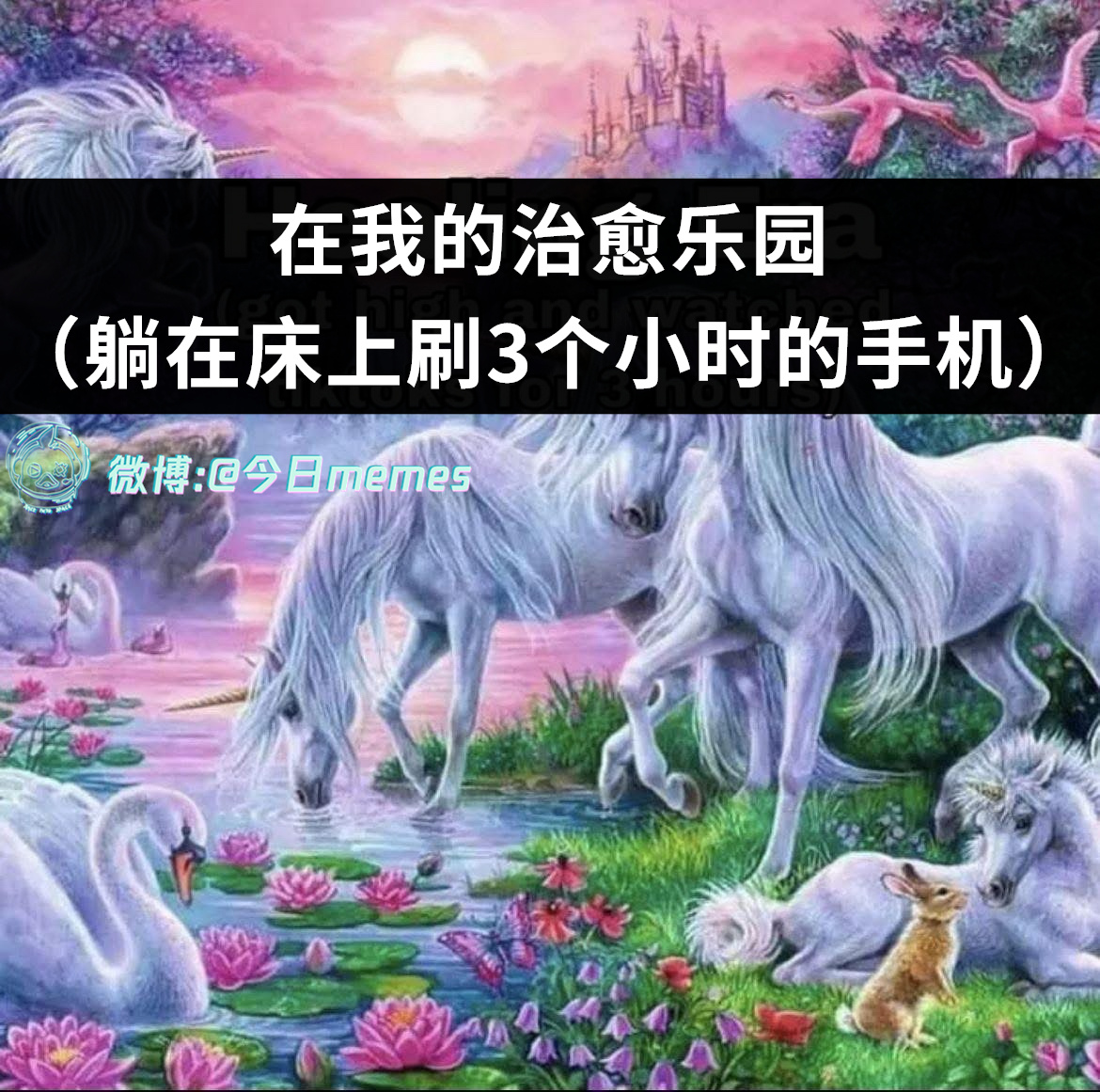 恢复中（9gag）今日meme[超话] 今日memes ​​​