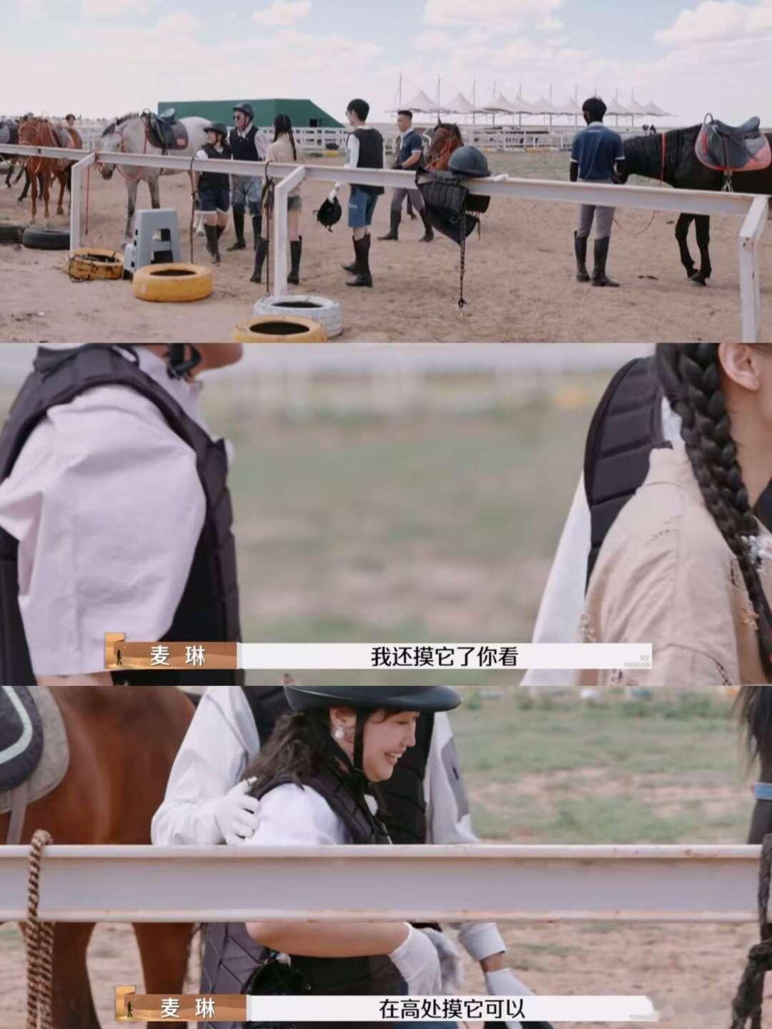 icon怒喷麦琳 葛夕对麦琳贴脸开大 你不怕动物哎🤣夫妻单线旅行前，麦琳说自己