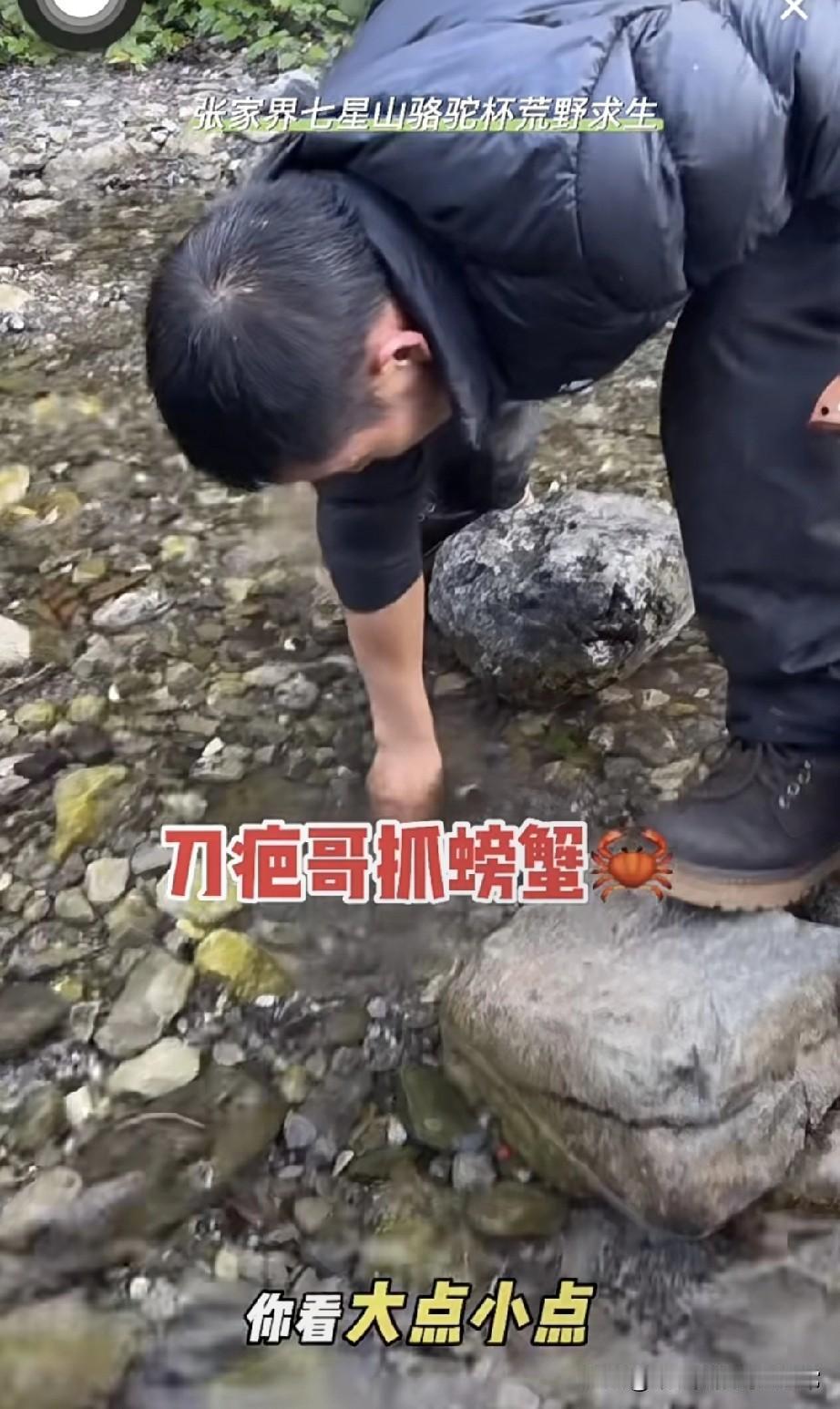 张家界荒野求生赛刀疤哥抓蟹翻车！

伸手就跑一只，网友：这技术不如村口大爷
 