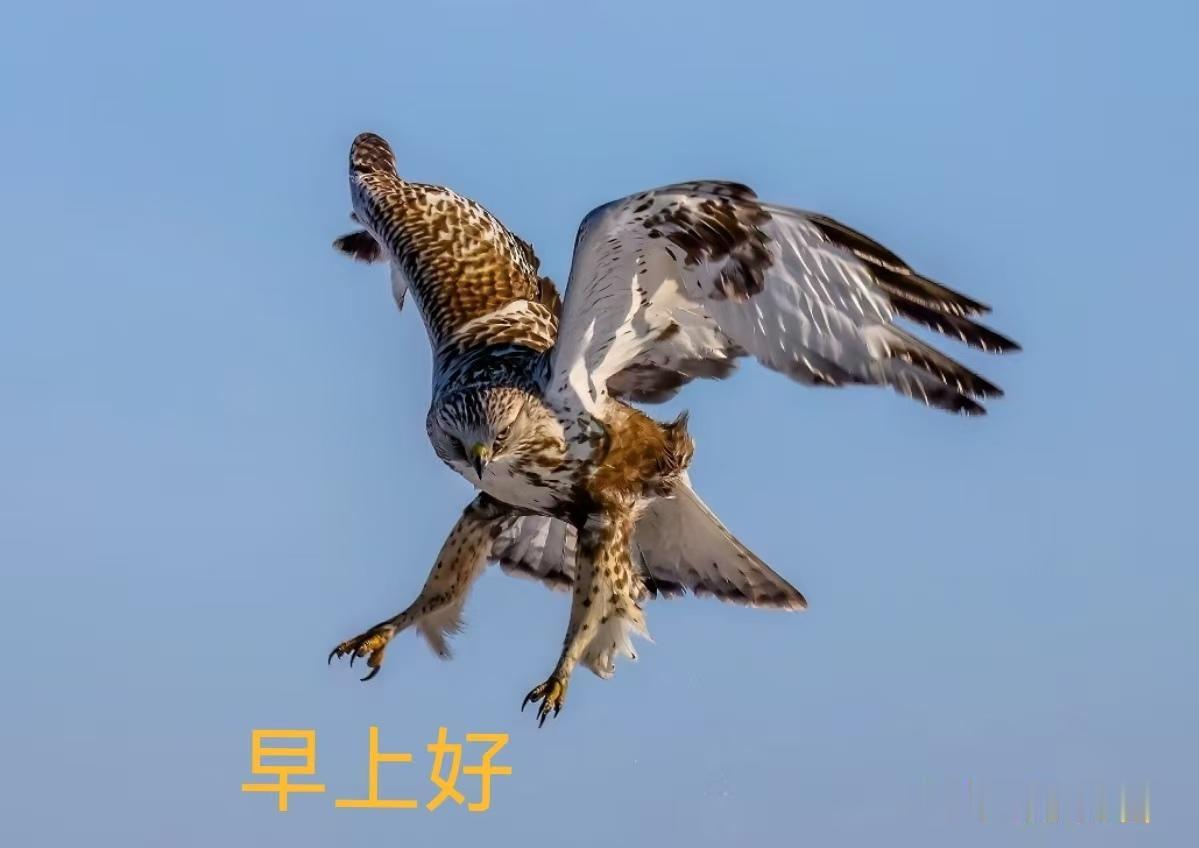 我发现太多的人指责拍短视频的闫冯搭档，抨击他们每天腻歪在一起拍短视频段子，不好不