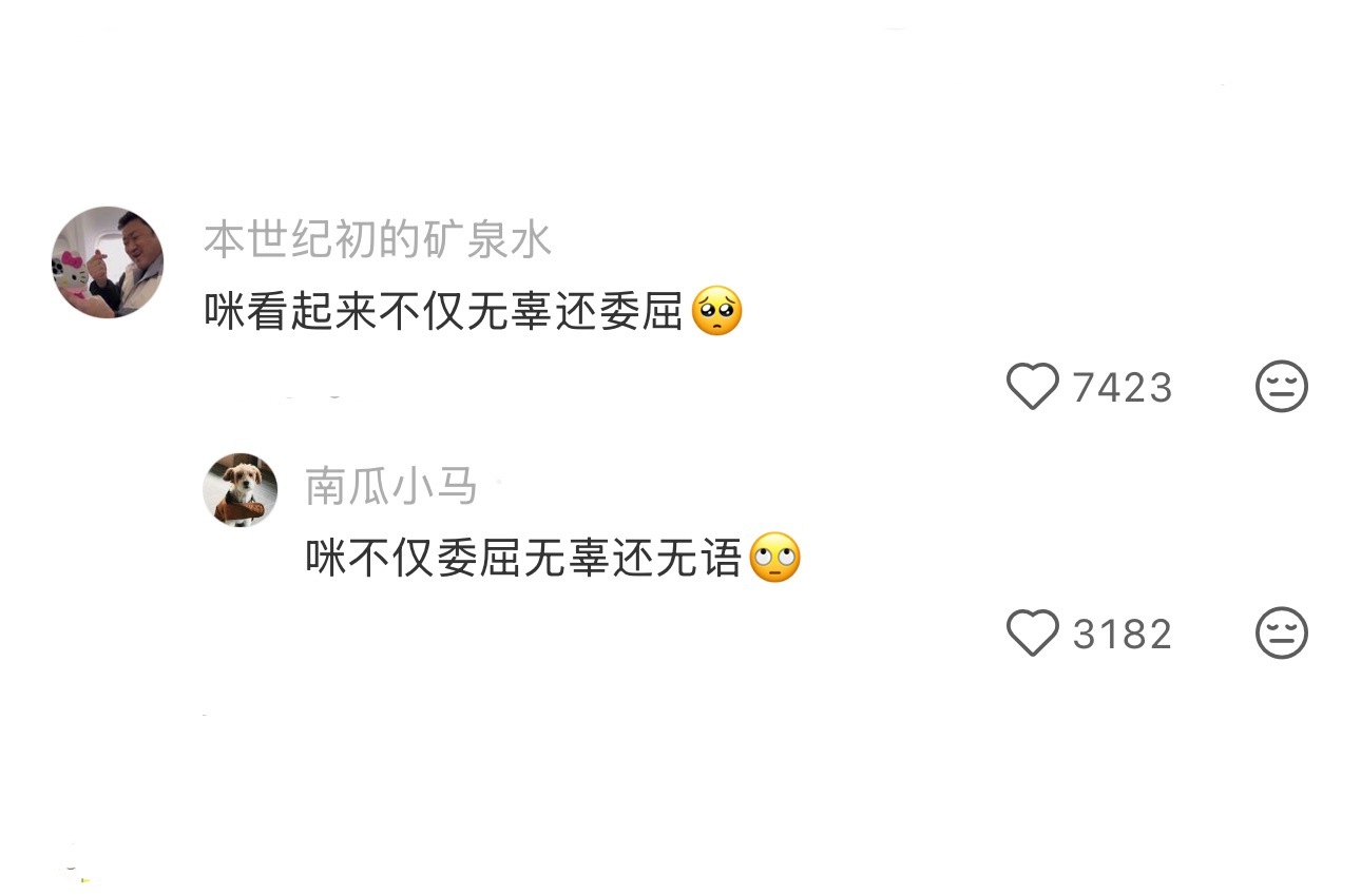 不要让男人和猫独处 
