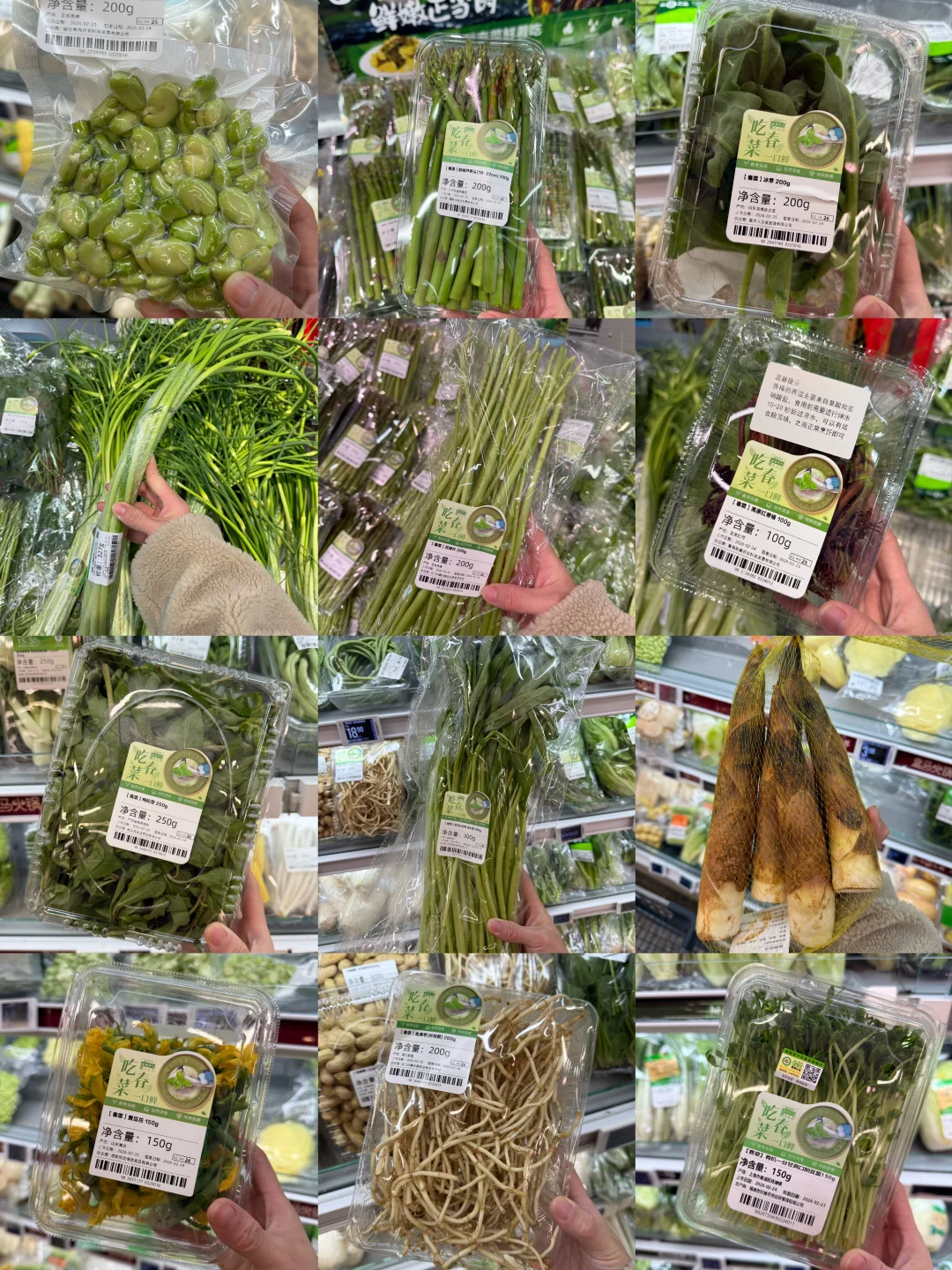 盒马春菜大集合！简易版食谱照抄～