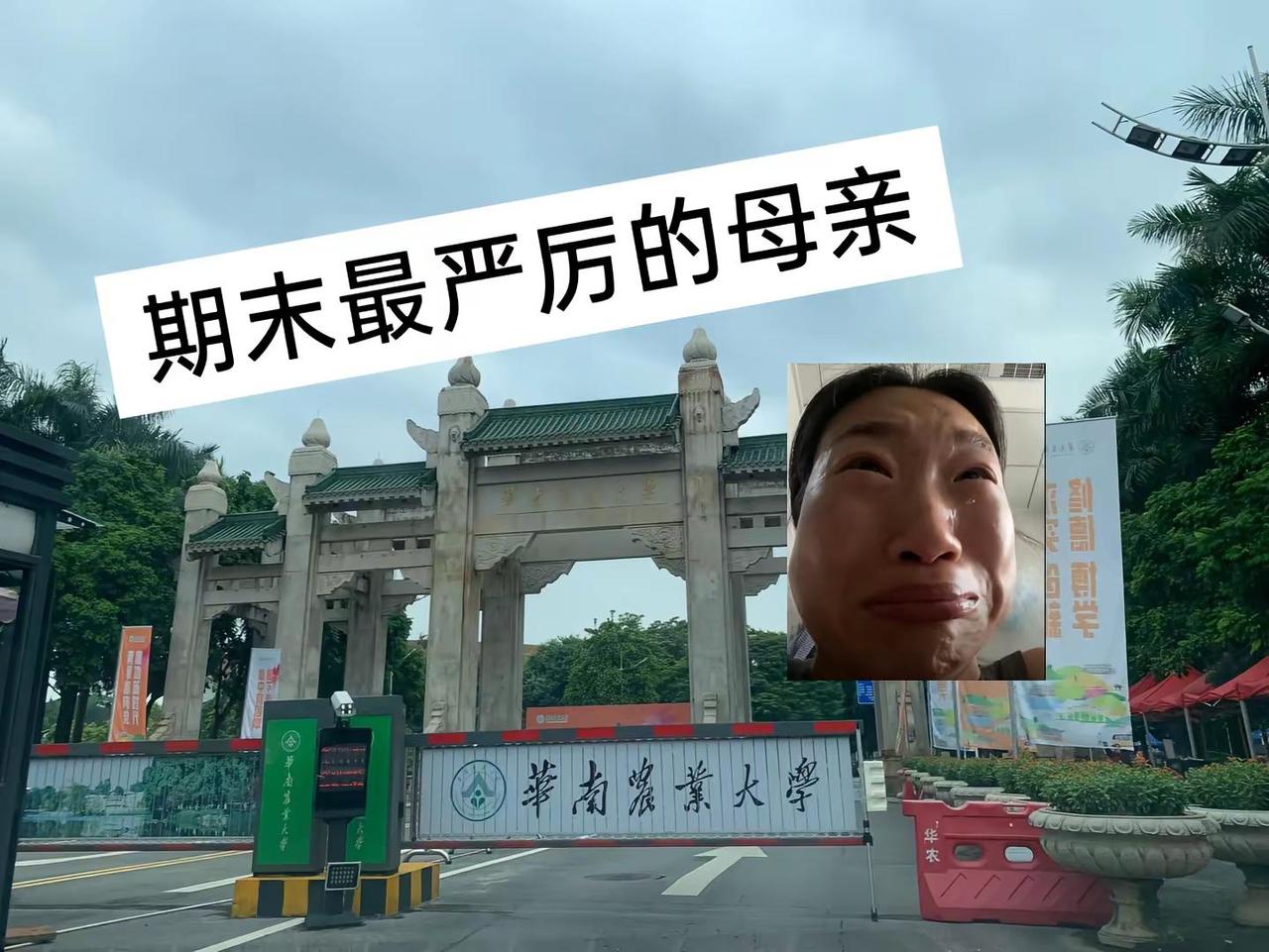 有没有同感的。华南农业大学 华农