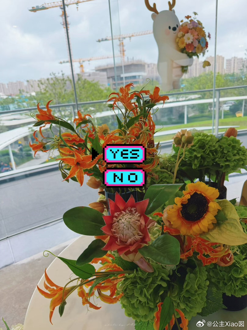 💚从来没有一帆风顺的人生。我们能做的，就是做出当下不后悔的决定。🧡囡小姐也不