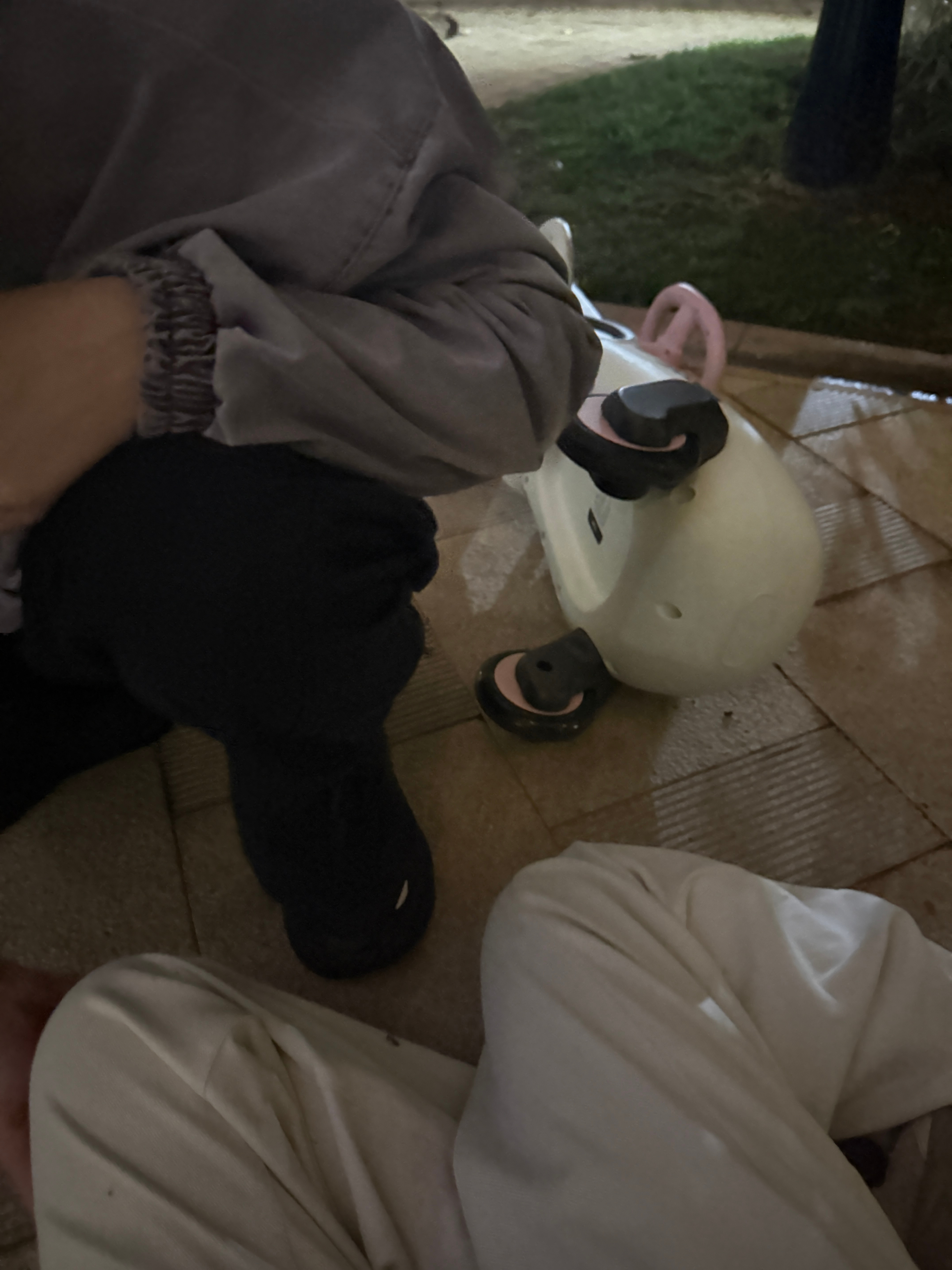 球在前面跑我坐扭扭车旅蛙在背后推我一开始很好玩，一家人都在哈哈笑，画面非常幽默旅