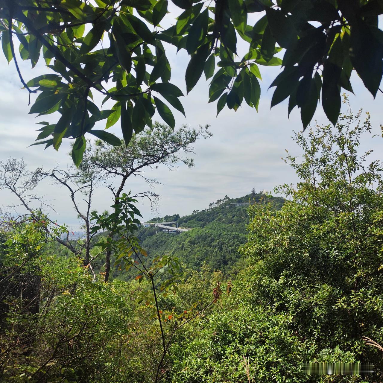 厦门海沧爬山好地方！从石室禅院上去，一路爬到蔡尖尾山天语舟气象公园，这是一条不错