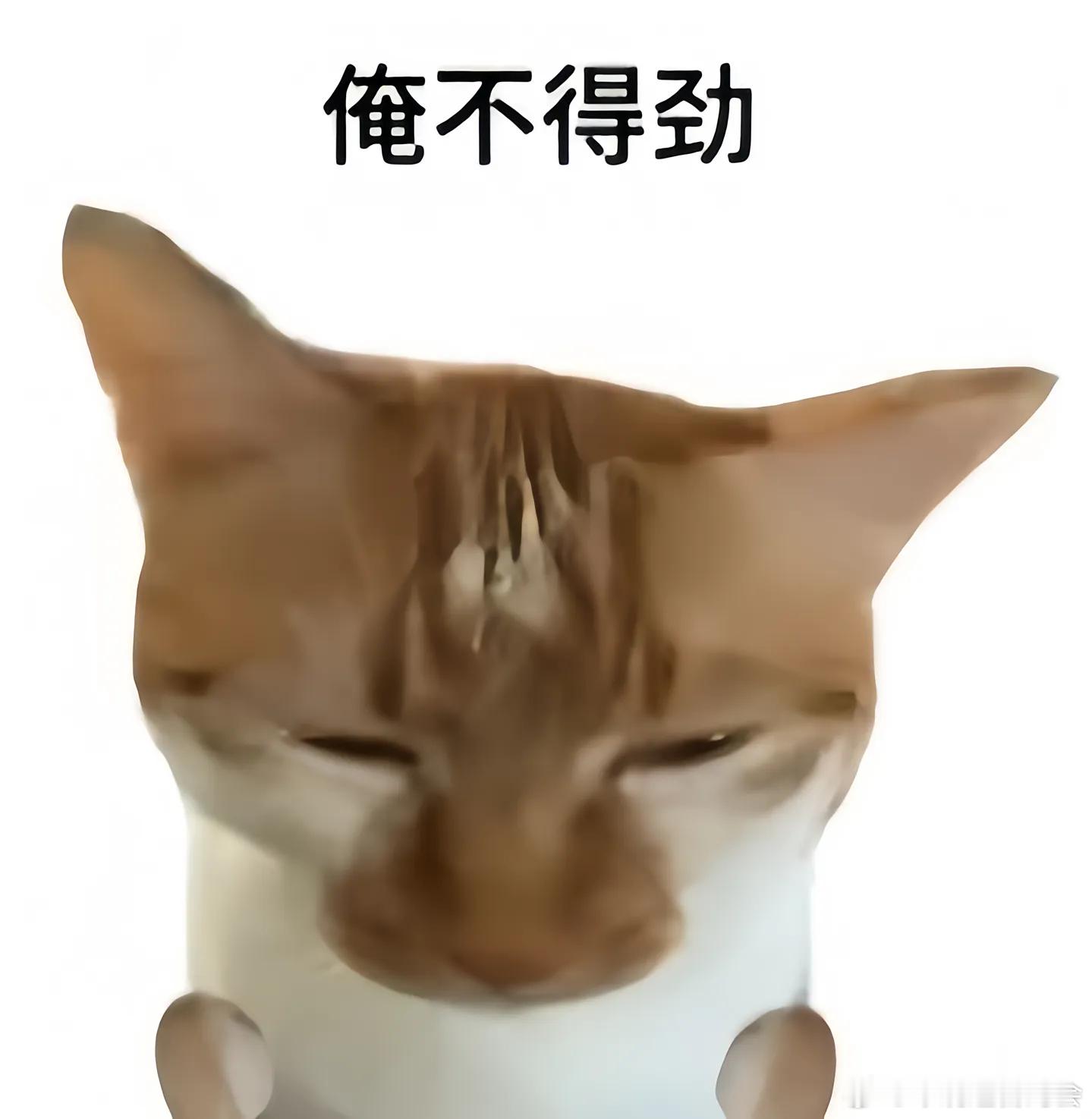 她妈的又截图我说的话  有冰吧  内娱杂志大家🍊冲一下不是很正常吗？我有提议每