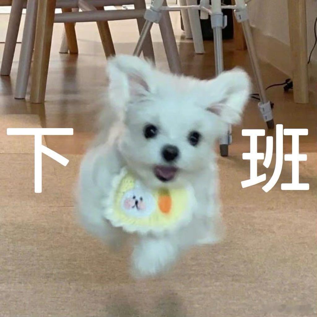 撒贝宁撤回了一个下班 撒老师这操作简直是快乐源泉！撤回的瞬间像按了暂停键的小剧场