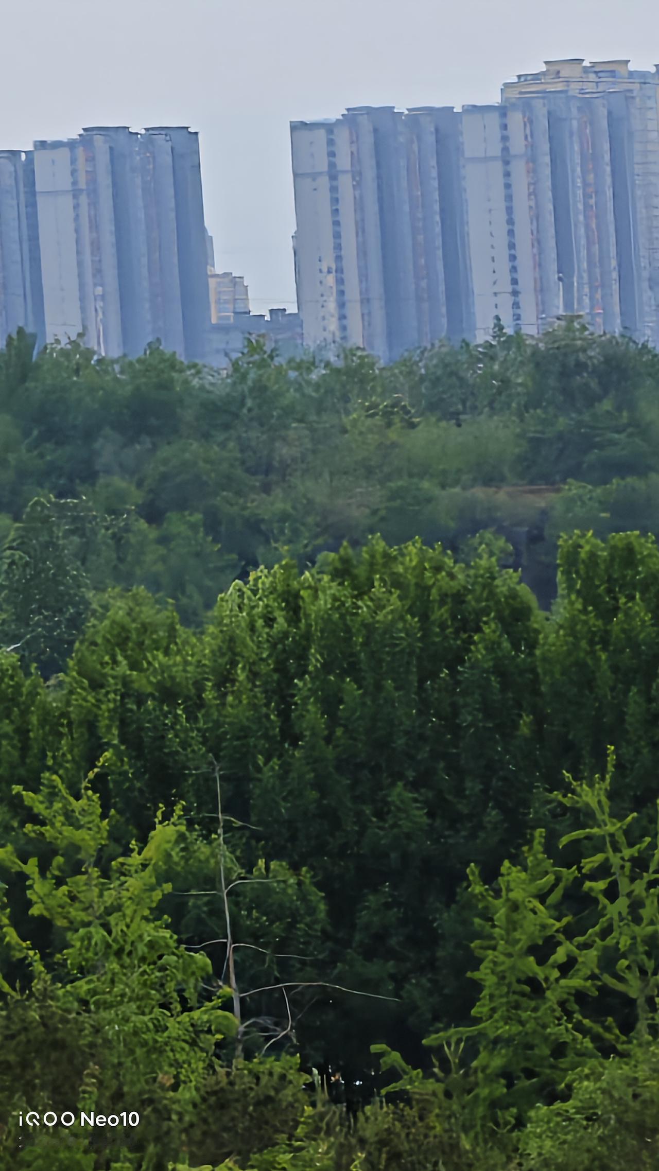分享一张自然风景的照片，