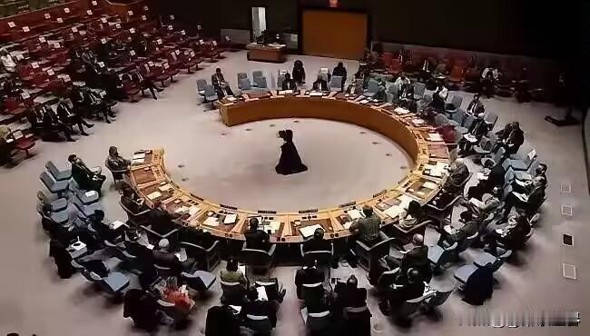 联合国安理会消息
乌克兰独立日当天，联合国安理会举行会议讨论俄乌冲突局势，英国、