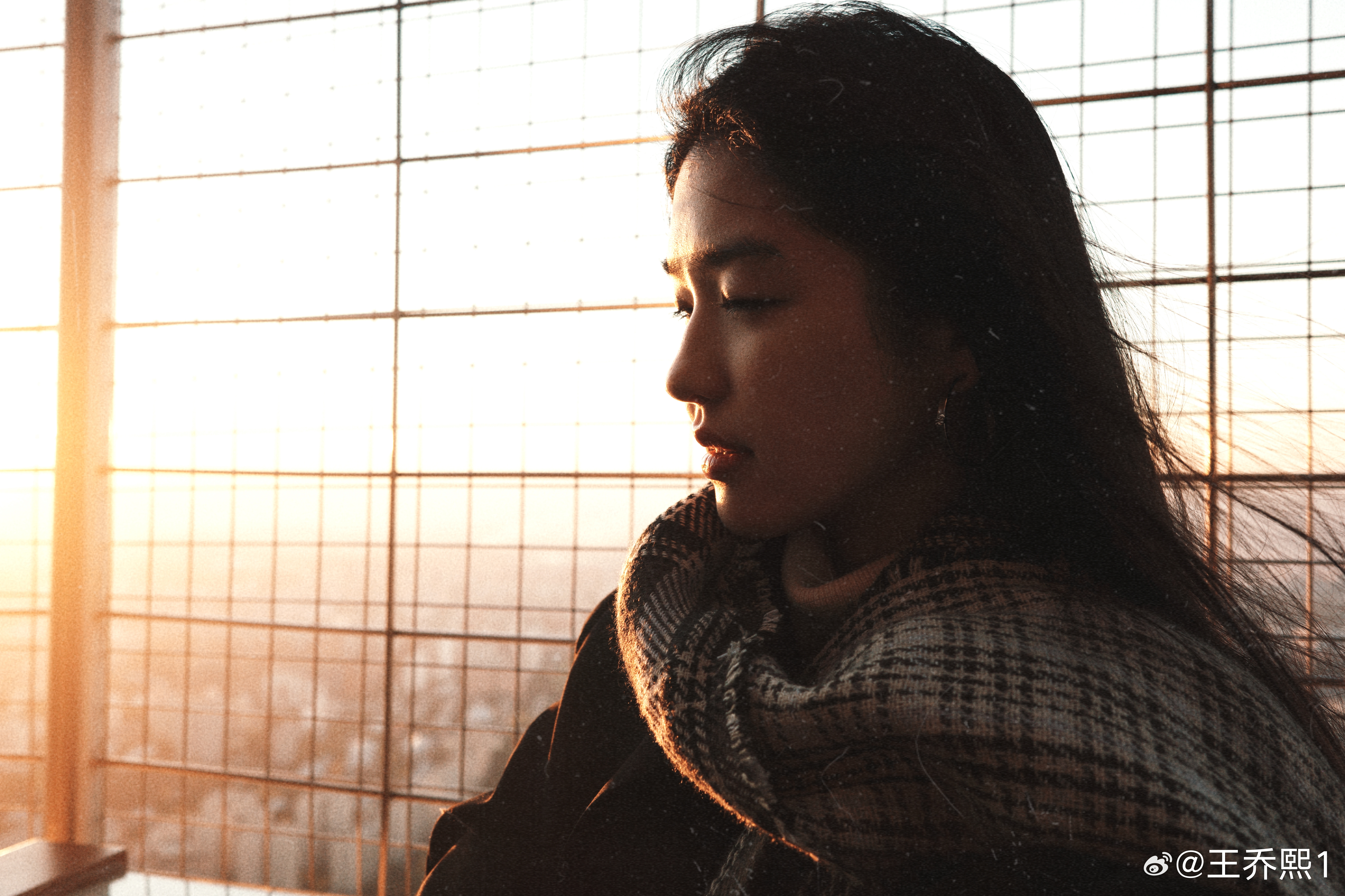 分享图片 ​​​