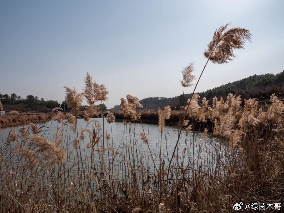 以前在币圈，我就是标准的韭菜。早上看见涨就追进去，下午回调就吓得割肉，刷到别人晒
