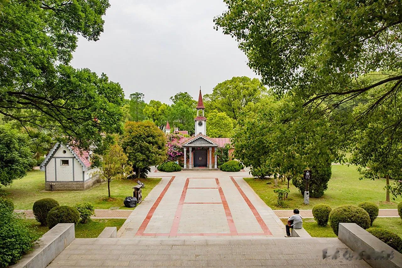 【每日一景20230823】拍于湖北武汉东湖公园 