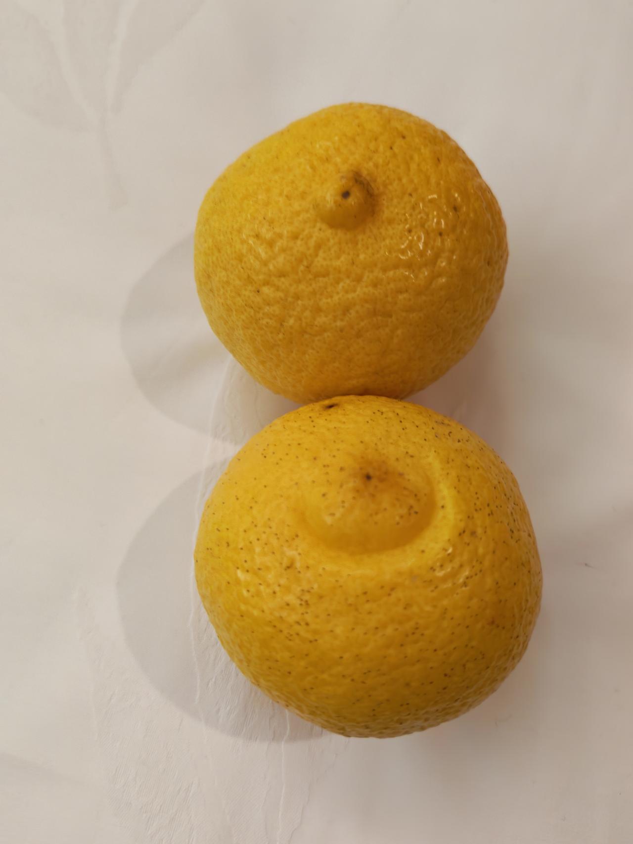 柠檬的表哥和柠檬是什么亲戚关系？柠檬的表哥好像不太正经的样子，看着很像柠檬，比柠