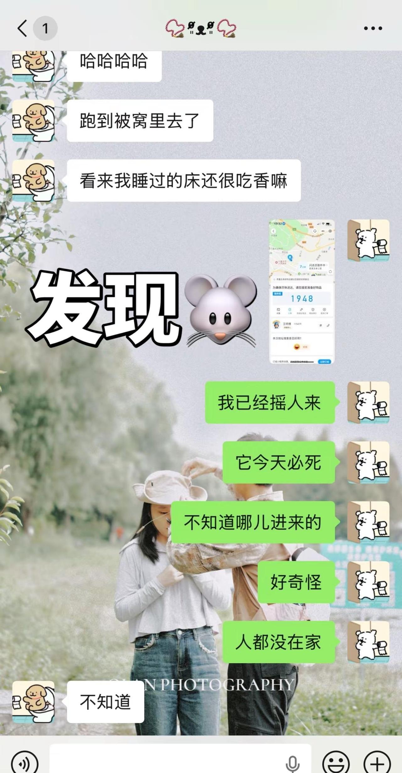 谢谢勇敢的打鼠侠 没想到有一天我会在闪送摇人打老鼠遇到事情不要慌 打鼠 无所不能