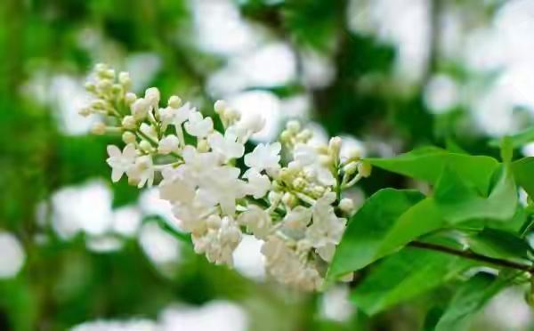 很无奈，年年坚持体检，却还是没能没及早发现肺ai。

我的上级业务部门的一个领导