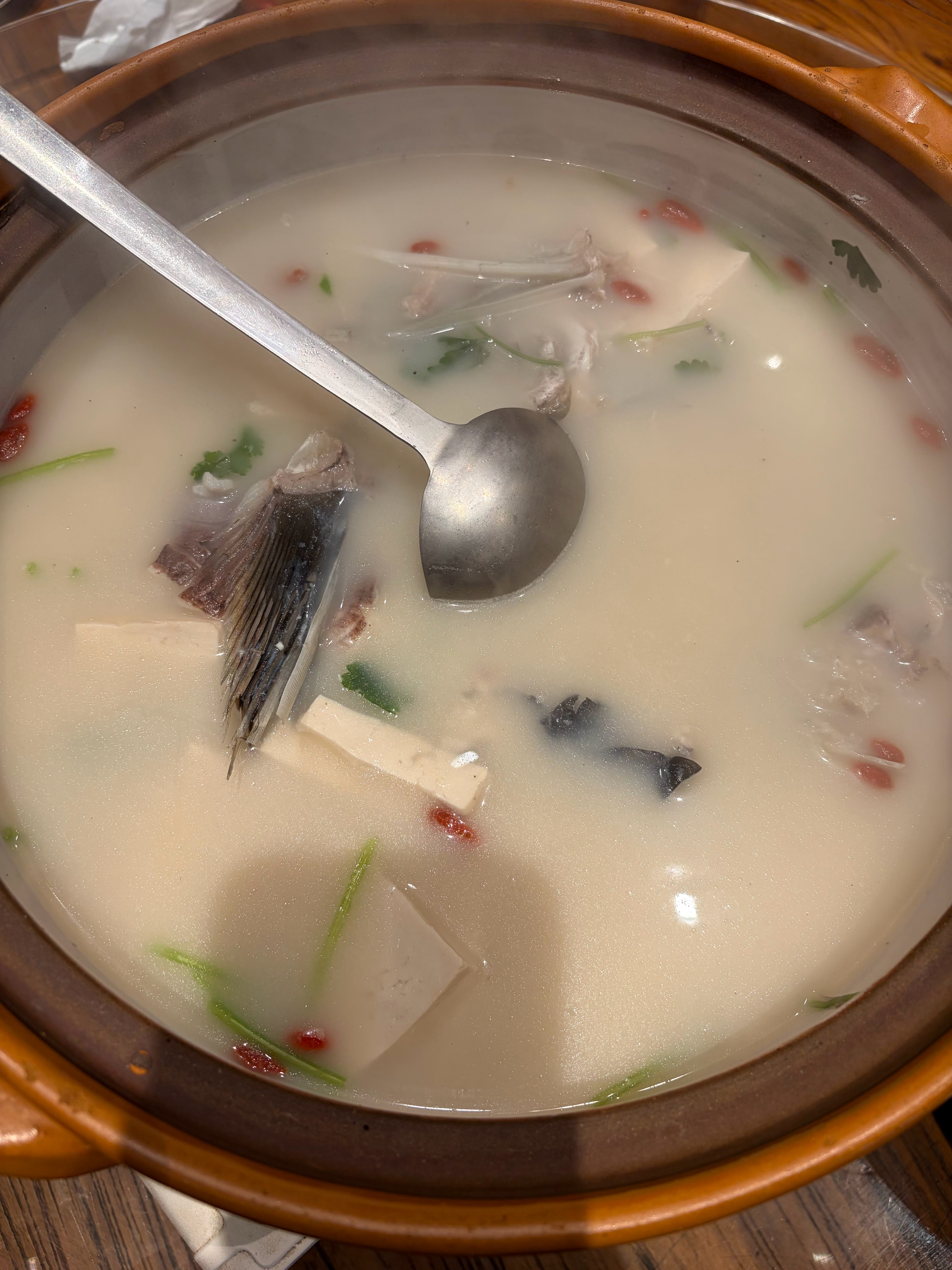 天凉了，喝点汤[awsl] 刚捞上来的鱼，活蹦乱跳的🐟 ​​​