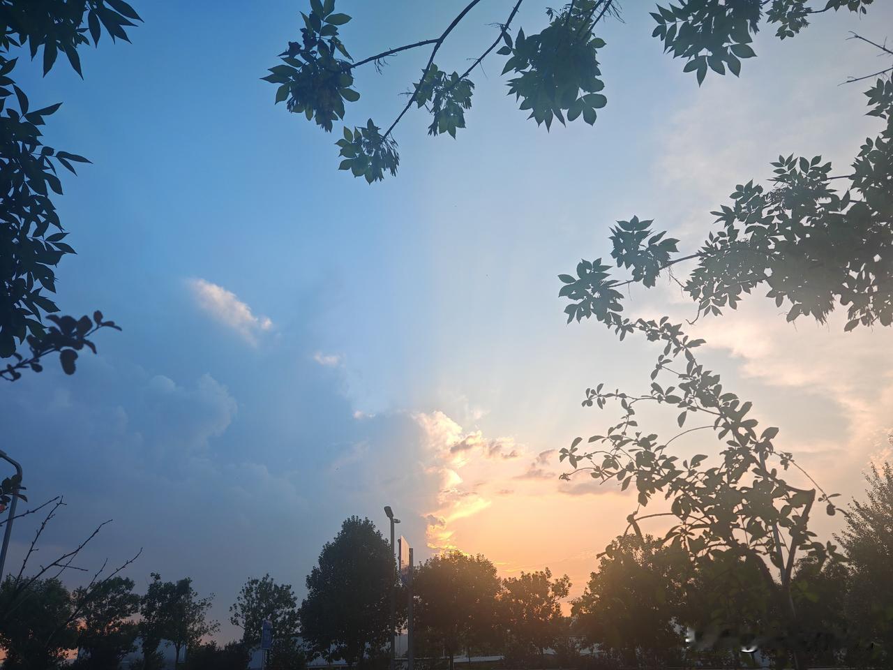 日出还是
日落