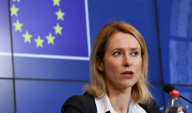 欧盟那帮人开会，有个女议员正唾沫横飞地渲染“中国威胁论”，调子都快起飞了。
 