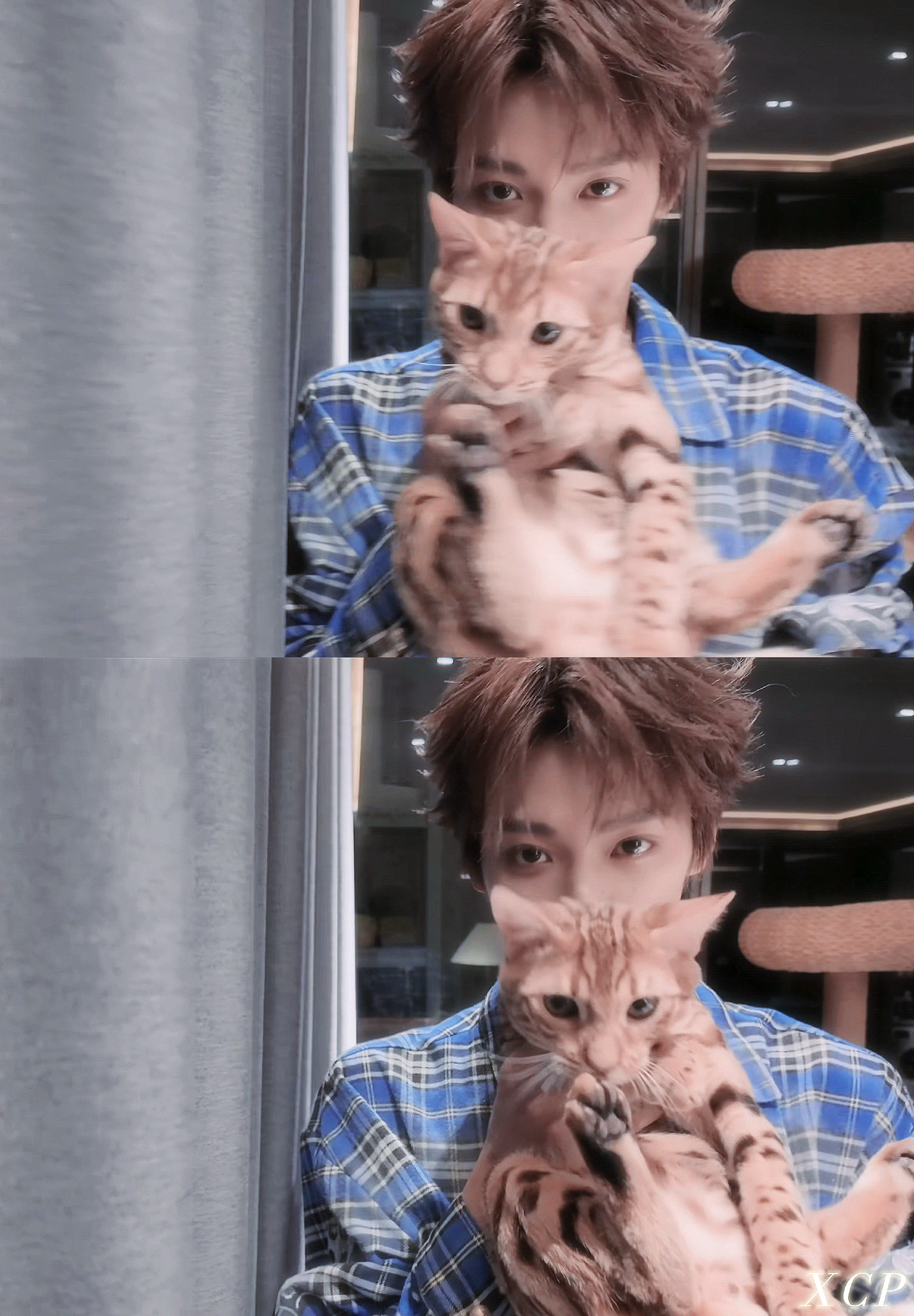 梓渝 zy梓渝未来可期 如果思念是有温度的话 我对你一定是炽热