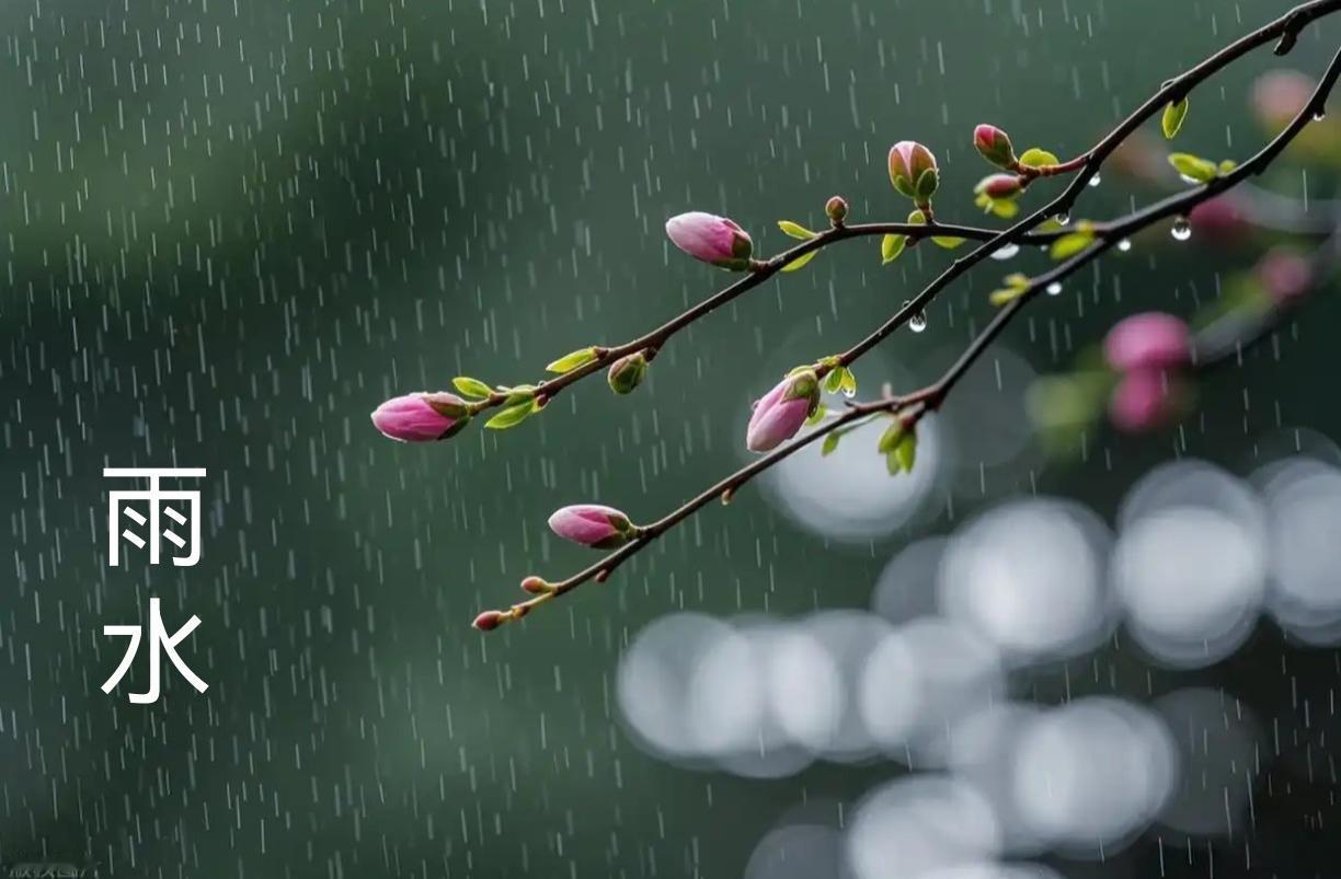七律.雨水

初二相逢雨水时，新年新岁日熙熙。
如酥甘露如诗醉，入夜轻霖入梦㾒。