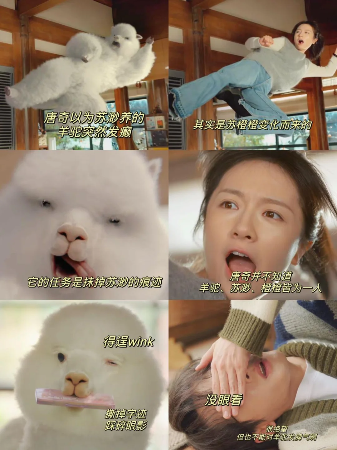 檀健次和羊驼谈恋爱？这剧癫在了我的笑点上