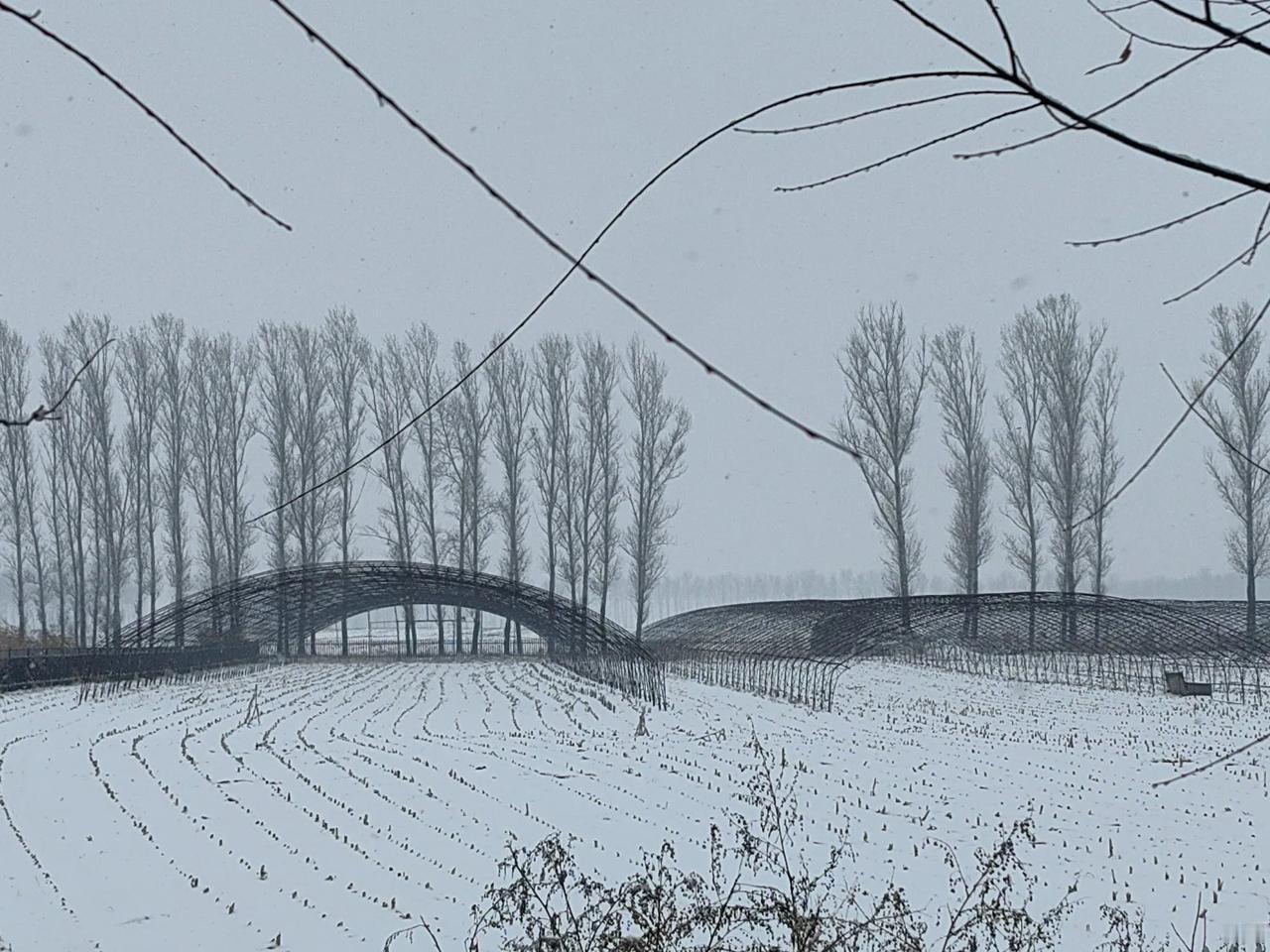 龙江雨雪情

龙江漫天雨雪飘，
天地苍茫韵自娇。
寒雨挟雪轻飞舞， 
冷风伴冰悄