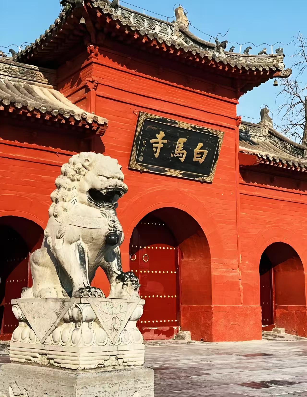 来洛阳这么多次，今天才算真的跟白马寺“贴贴”了。

一踏进山门，香火味儿混着老柏