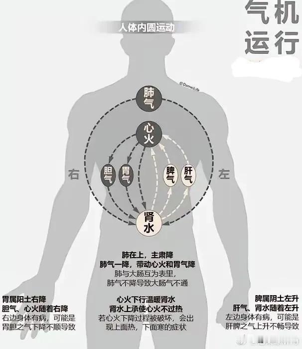 呼吸吐纳间，气息有阴阳之分，其运行皆随心意流转。心之所向，气亦相随；心宁气定，气