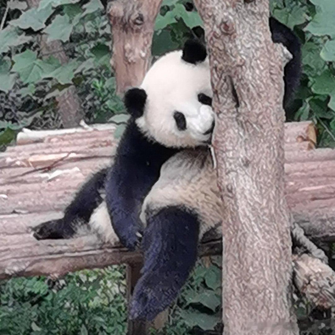 啊啊啊啊啊！人类为什么要放弃睡觉这么性价比极高的休闲活动，假日长途跋涉去花钱排队