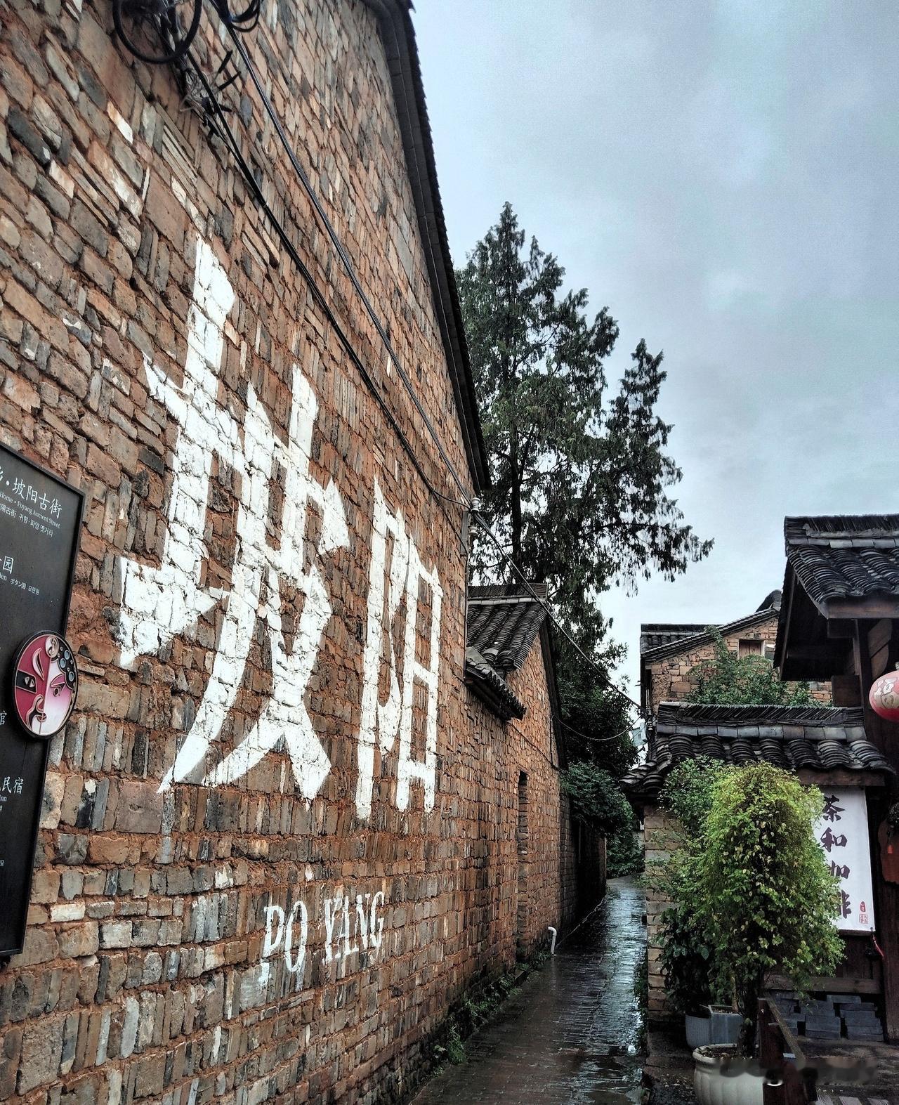 庭前月季洒满红。