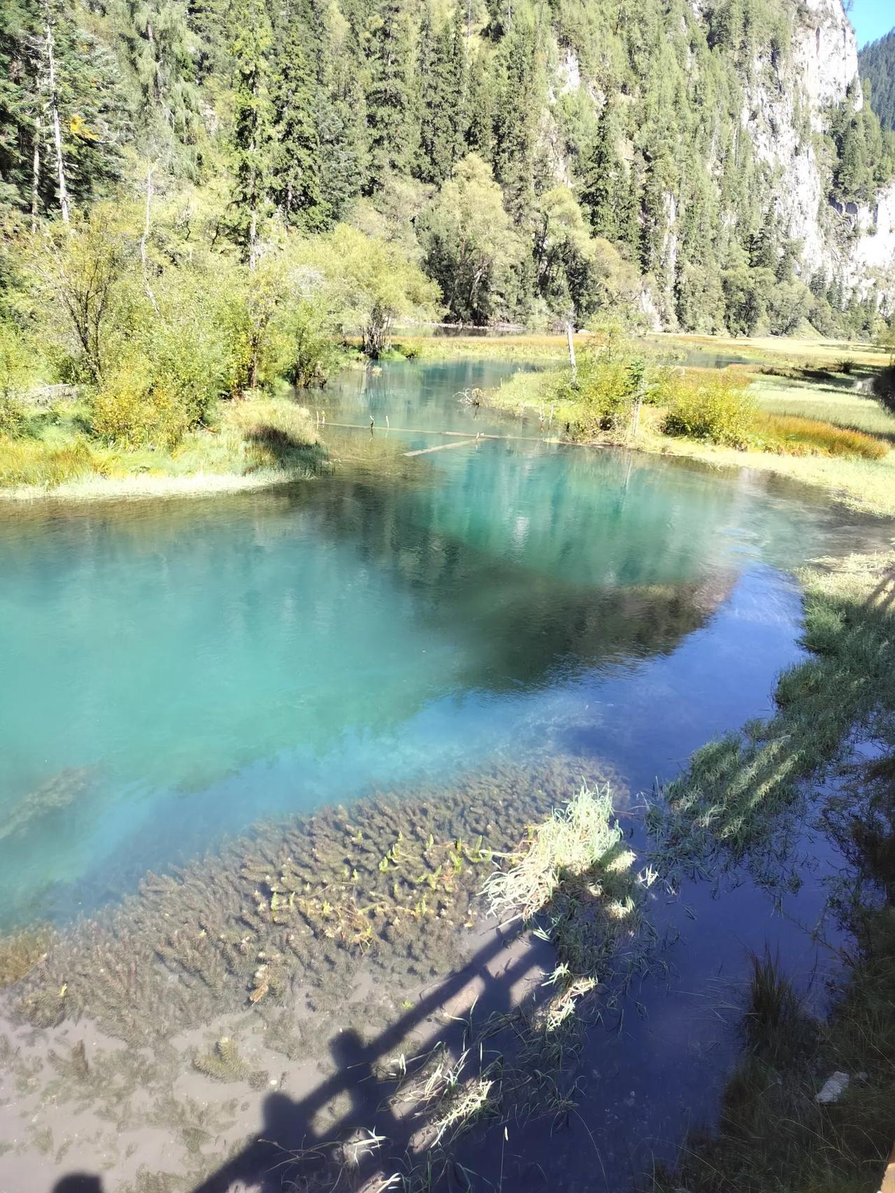 冬日生活打卡季加油