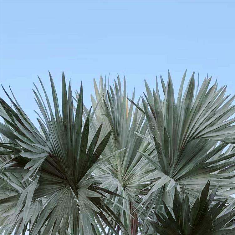 今天上午   山东：执纪审查1人
 
4月20日上午，该省执纪审查1人，为70后