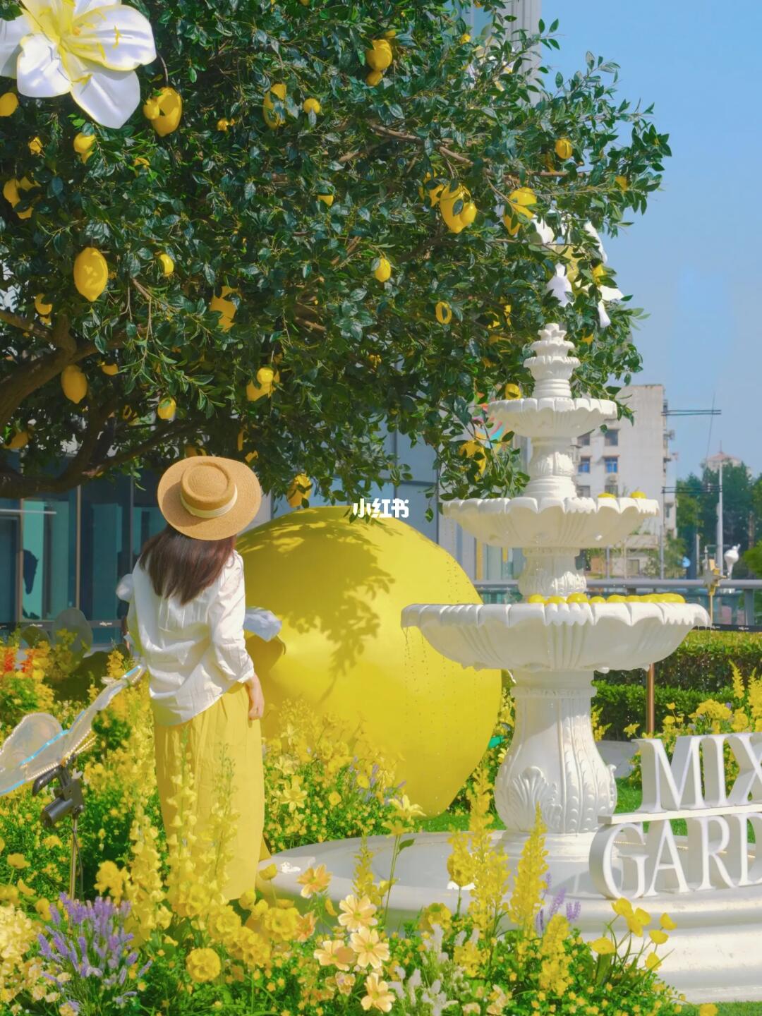 武汉也有了！！！！梦幻的南法庄园...🍋